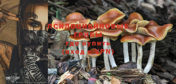 молекула духа Алзамай