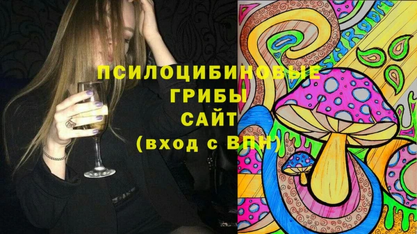 молекула духа Алзамай