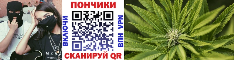 наркошоп Краснообск МАРИХУАНА SATIVA & INDICA